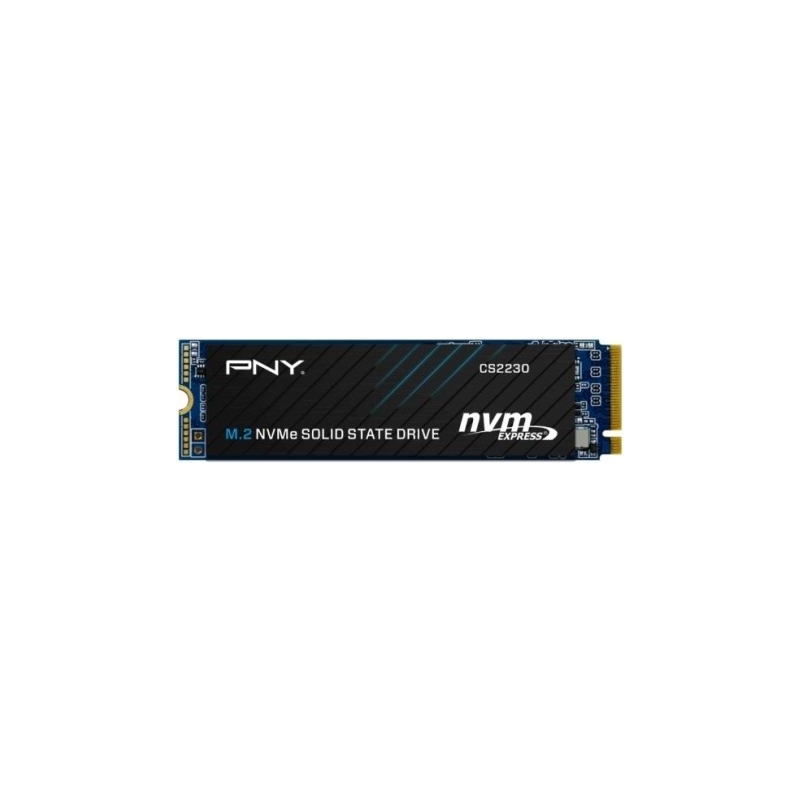 PNY PNY Disc SSD 1TB M