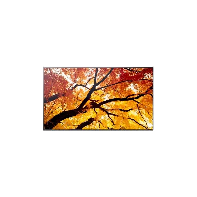 SHARP Sharp Monitor M652 65 inches