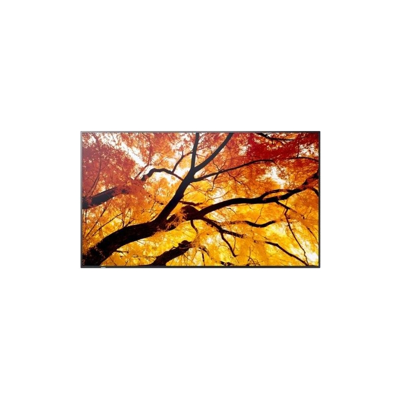SHARP Sharp Monitor MultiSync M502 50
