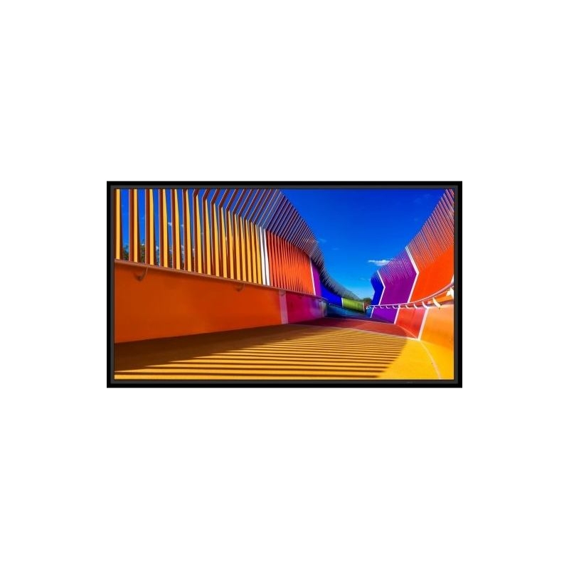 SHARP Sharp Monitor MultiSync E439 43