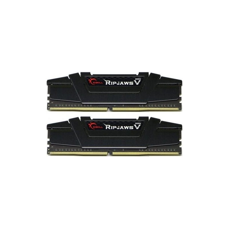 G.SKILL G.skill PC memory