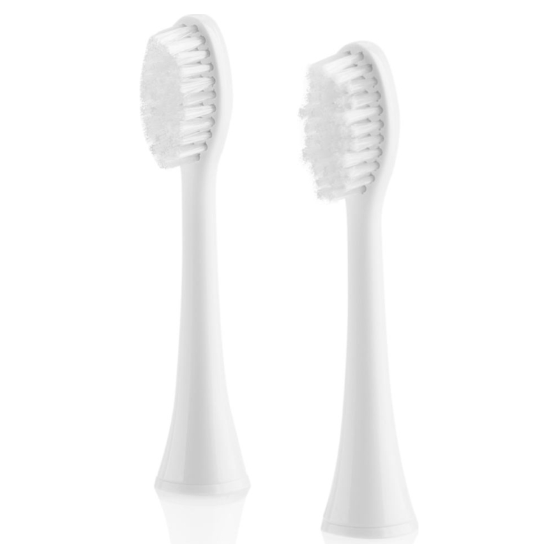 ETA ETA | Toothbrush replacement |