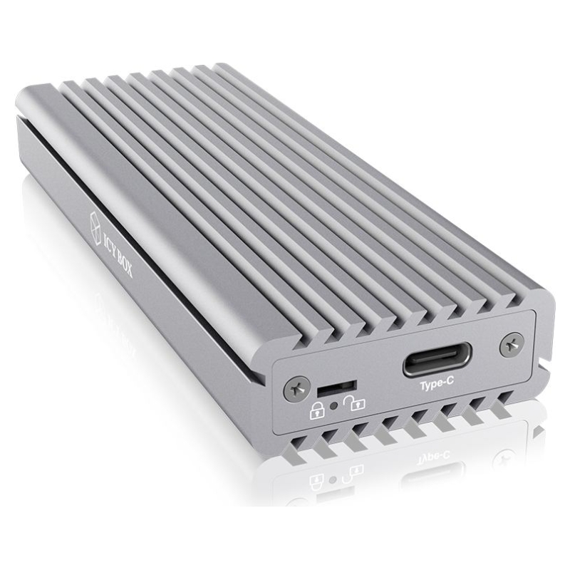 RAIDSONIC Raidsonic | Icy box External