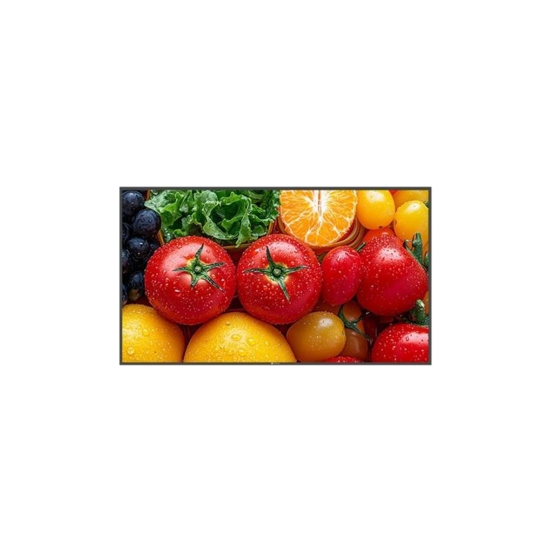 AG NEOVO Ag Neovo Display 55