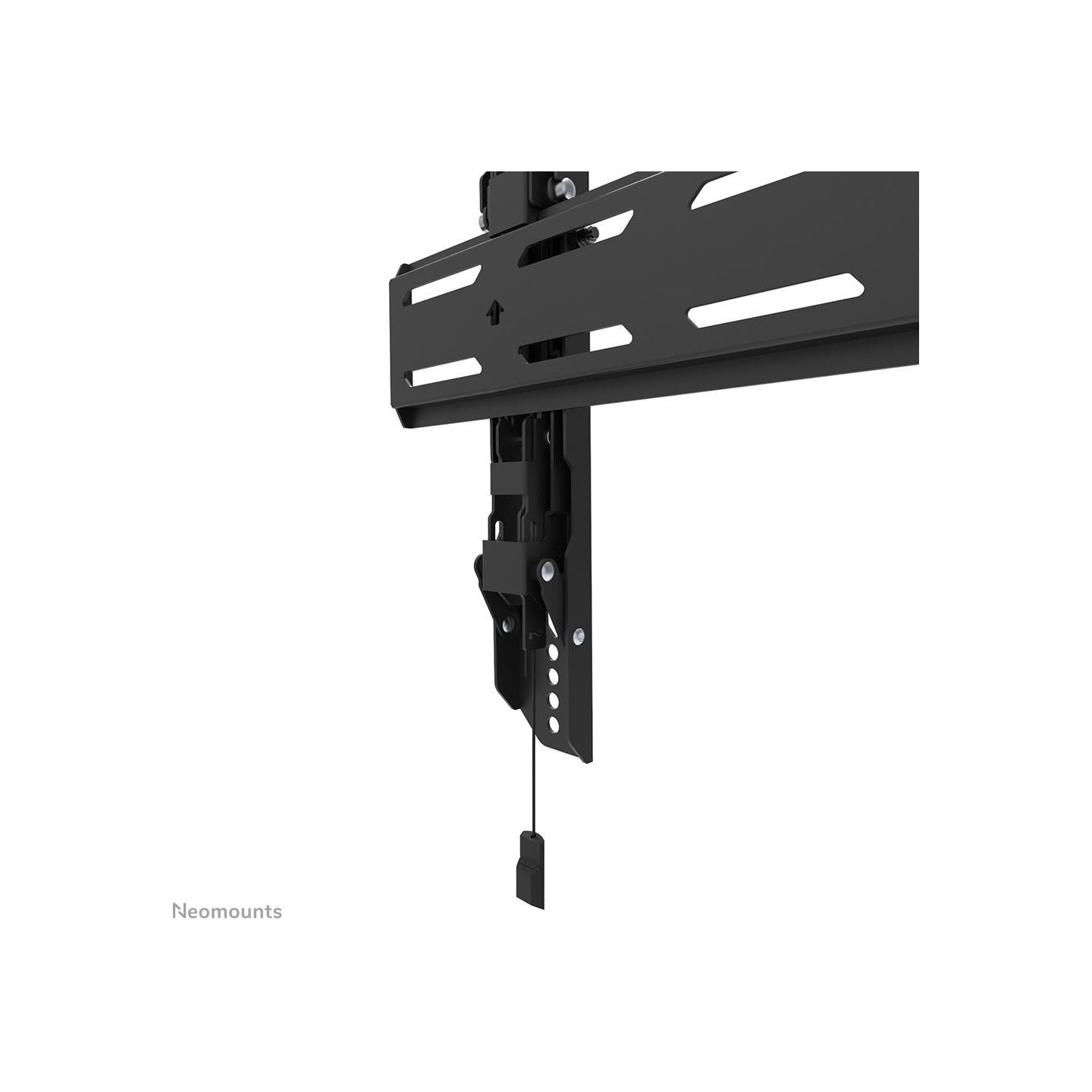 Neomounts SELECT SCREEN WALL MOUNT (TILT, VESA 600X400)