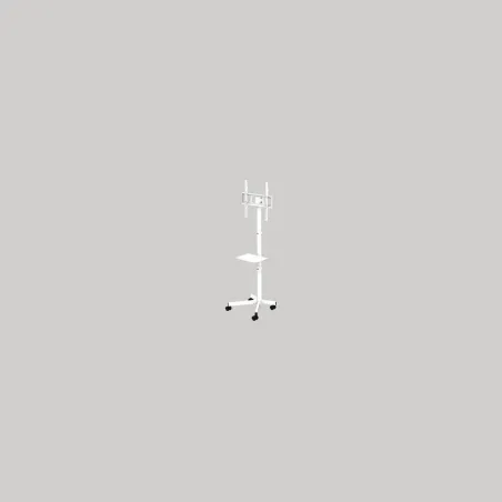 Gembird TV SET ACC FLOOR STAND 32-55"/TVS-55T-03-W GEMBIRD
