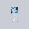 Gembird TV SET ACC FLOOR STAND 32-55"/TVS-55T-03-W GEMBIRD