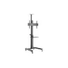 Gembird Aluminum TV floor stand