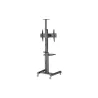 Gembird Aluminum TV floor stand