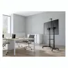 Gembird Height adjustable TV floor stand