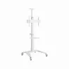 Gembird TV SET ACC FLOOR STAND 37-70"/WHITE TVS-70T-02-W GEMBIRD