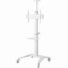 Gembird TV SET ACC FLOOR STAND 37-70"/WHITE TVS-70T-02-W GEMBIRD