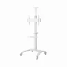 Gembird TV SET ACC FLOOR STAND 37-70"/WHITE TVS-70T-02-W GEMBIRD