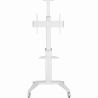 Gembird TV SET ACC FLOOR STAND 37-70"/WHITE TVS-70T-02-W GEMBIRD