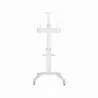 Gembird TV SET ACC FLOOR STAND 37-70"/WHITE TVS-70T-02-W GEMBIRD