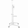 Gembird TV SET ACC FLOOR STAND 37-70"/WHITE TVS-70T-02-W GEMBIRD
