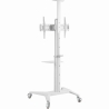 Gembird TV SET ACC FLOOR STAND 37-70"/WHITE TVS-70T-02-W GEMBIRD