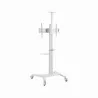 Gembird TV SET ACC FLOOR STAND 37-70"/WHITE TVS-70T-02-W GEMBIRD
