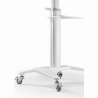 Gembird TV SET ACC FLOOR STAND 37-70"/WHITE TVS-70T-02-W GEMBIRD