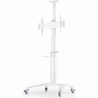 Gembird TV SET ACC FLOOR STAND 37-70"/WHITE TVS-70T-02-W GEMBIRD