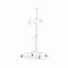 Gembird TV SET ACC FLOOR STAND 37-70"/WHITE TVS-70T-02-W GEMBIRD