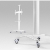 Gembird TV SET ACC FLOOR STAND 37-70"/WHITE TVS-70T-02-W GEMBIRD