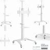 Gembird TV SET ACC FLOOR STAND 37-70"/WHITE TVS-70T-02-W GEMBIRD