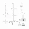 Gembird TV SET ACC FLOOR STAND 37-70"/WHITE TVS-70T-02-W GEMBIRD