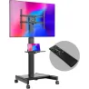 Onkron TV SET ACC MOBILE STAND/43-75"/BLACK TS1552E-B ONKRON