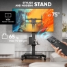 Onkron TV SET ACC MOBILE STAND/43-75"/BLACK TS1552E-B ONKRON