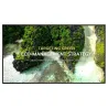 LG Monitor wielkoformatowy 75 cali 75UL3Q-E 350nit UHD 16/7