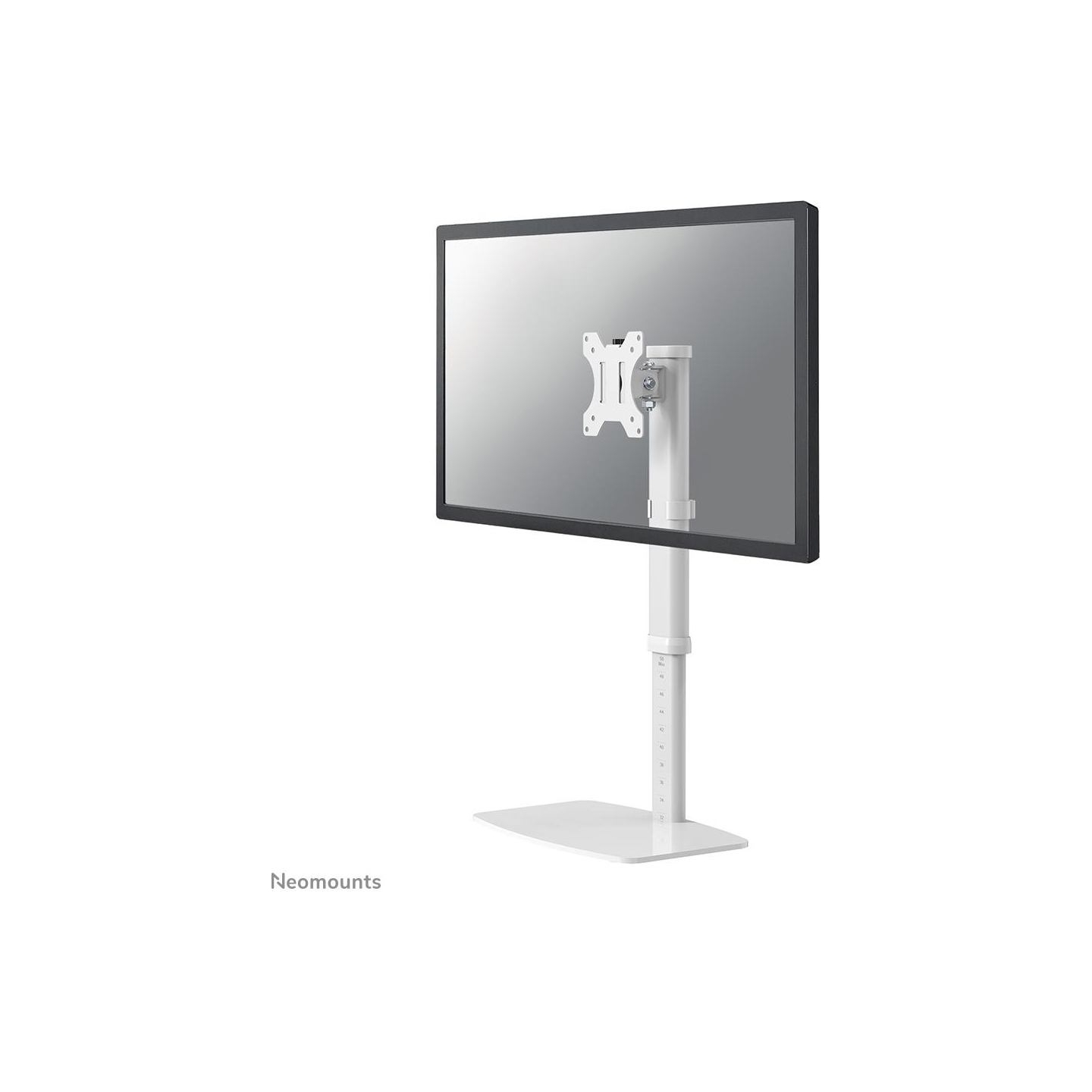 Neomounts NEWSTAR FLAT SCREEN DESK MOUNT (STAND)  10-30" WHITE