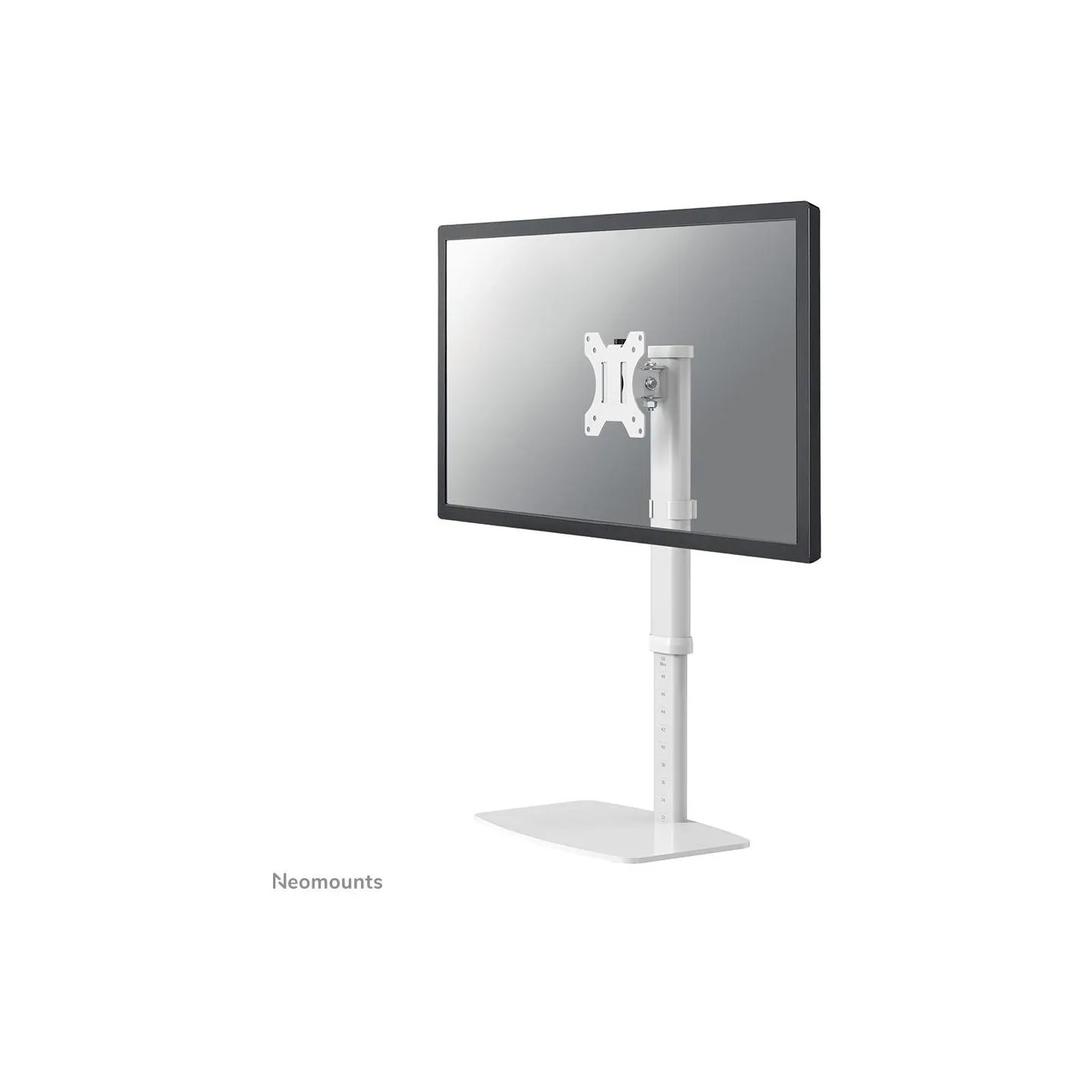 Neomounts NEWSTAR FLAT SCREEN DESK MOUNT (STAND)  10-30" WHITE