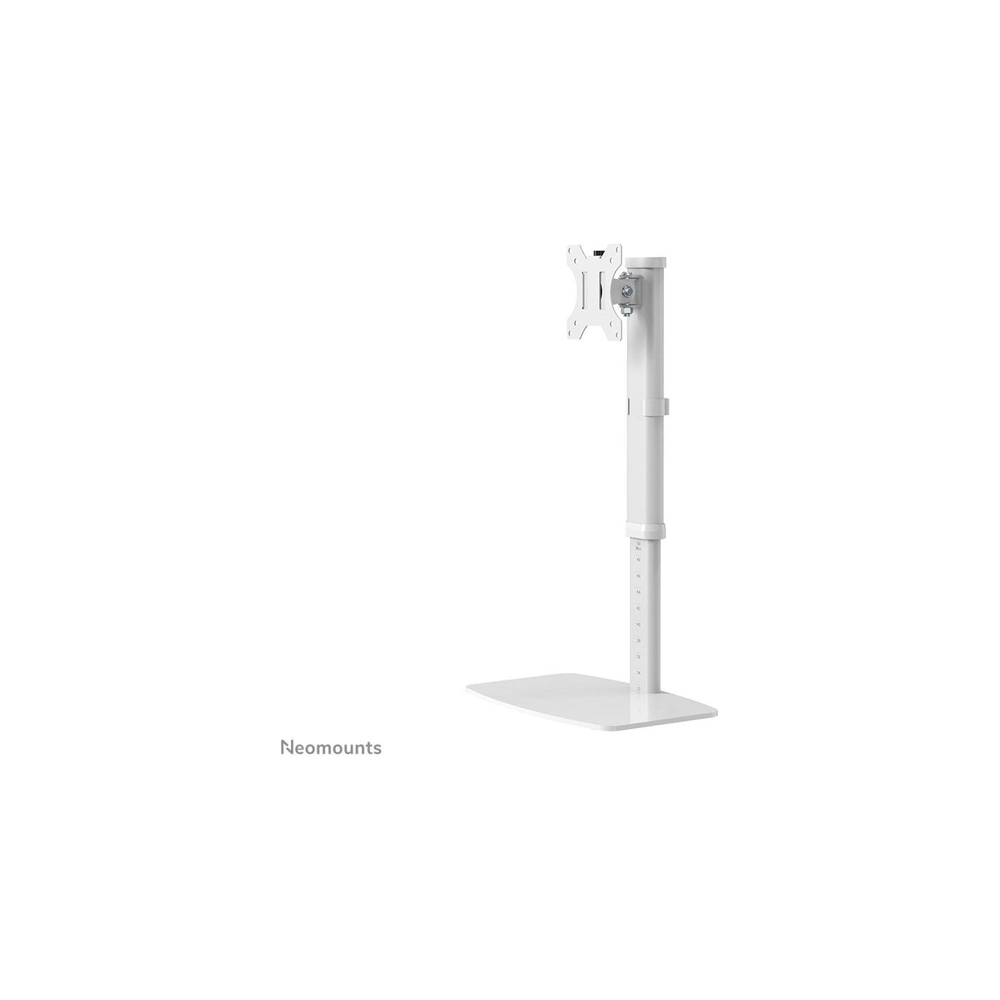 Neomounts NEWSTAR FLAT SCREEN DESK MOUNT (STAND)  10-30" WHITE