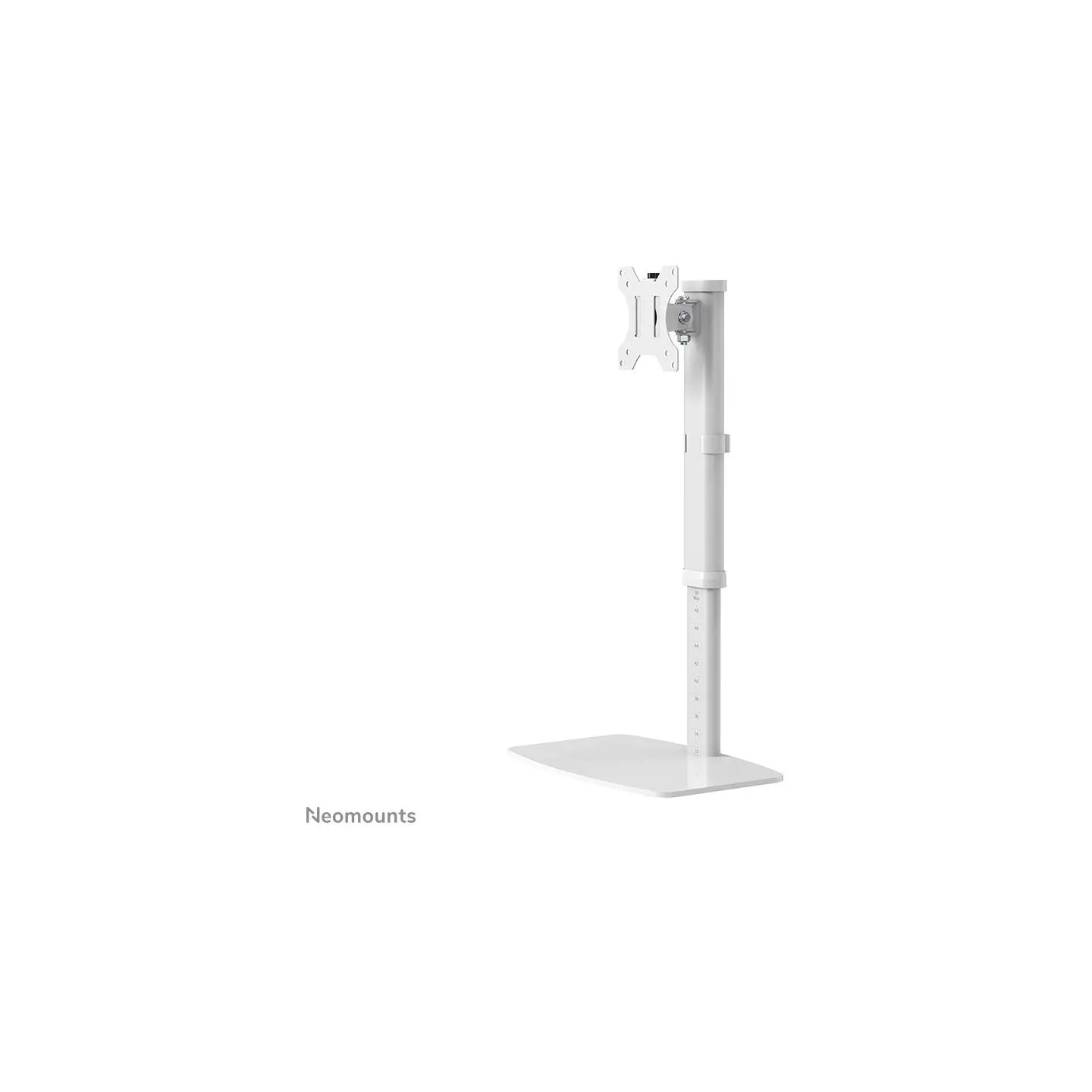 Neomounts NEWSTAR FLAT SCREEN DESK MOUNT (STAND)  10-30" WHITE