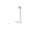 Neomounts NEWSTAR FLAT SCREEN DESK MOUNT (STAND)  10-30" WHITE