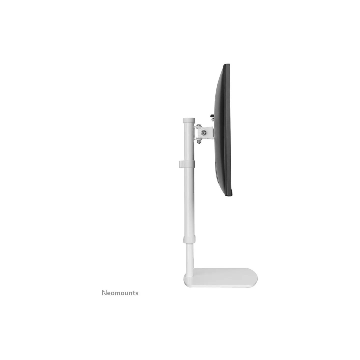 Neomounts NEWSTAR FLAT SCREEN DESK MOUNT (STAND)  10-30" WHITE