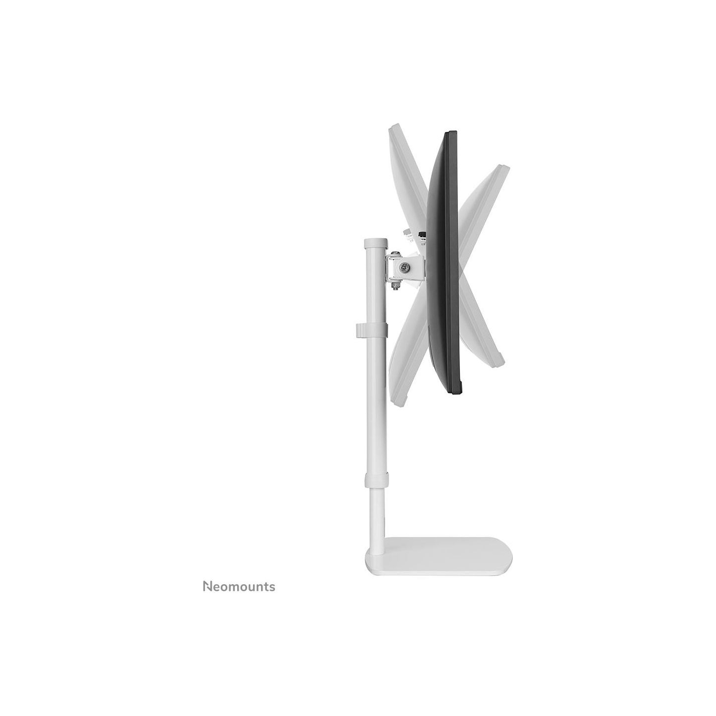 Neomounts NEWSTAR FLAT SCREEN DESK MOUNT (STAND)  10-30" WHITE