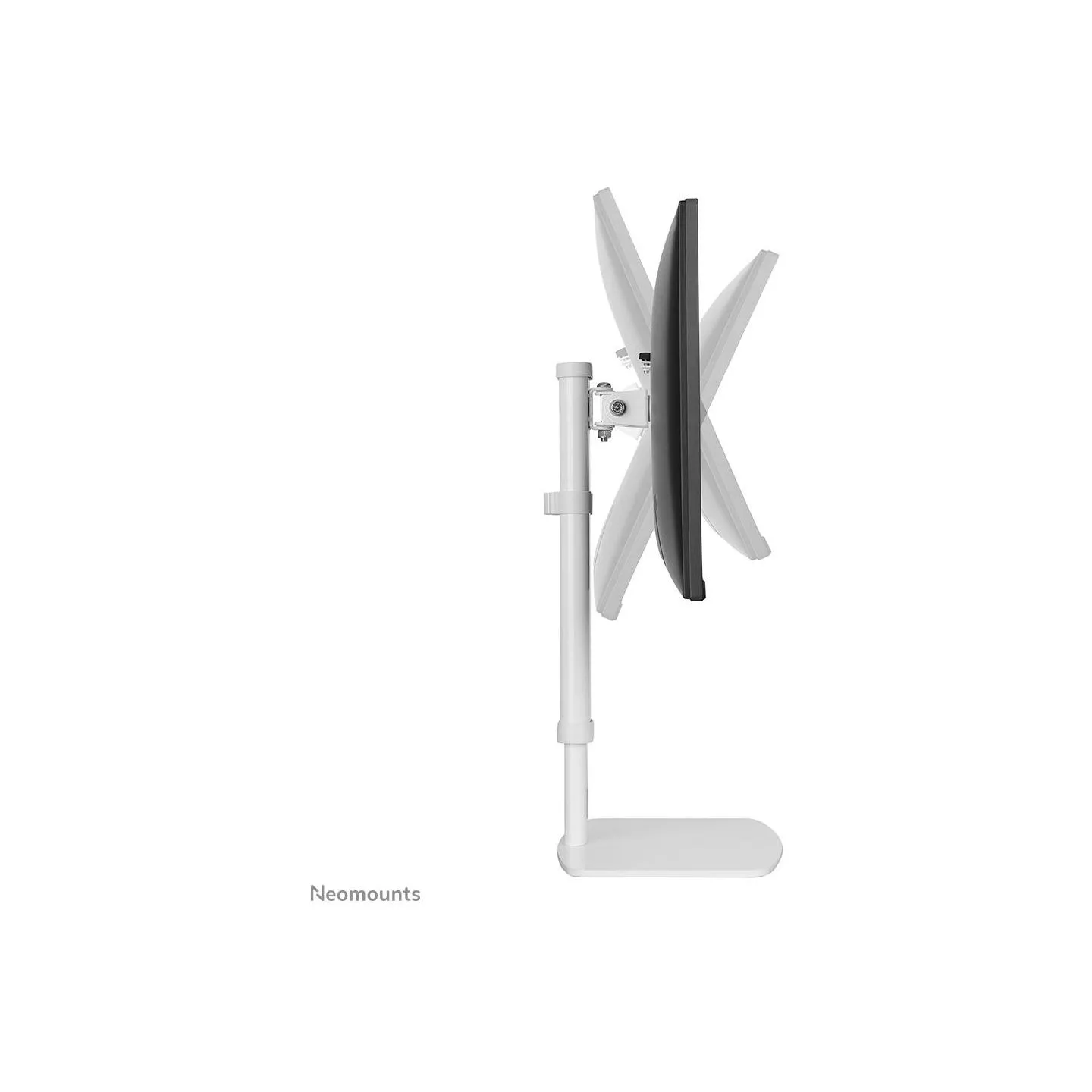 Neomounts NEWSTAR FLAT SCREEN DESK MOUNT (STAND)  10-30" WHITE