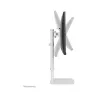 Neomounts MONITOR ACC DESK MOUNT 10-30"/FPMA-D890WHITE NEOMOUNTS