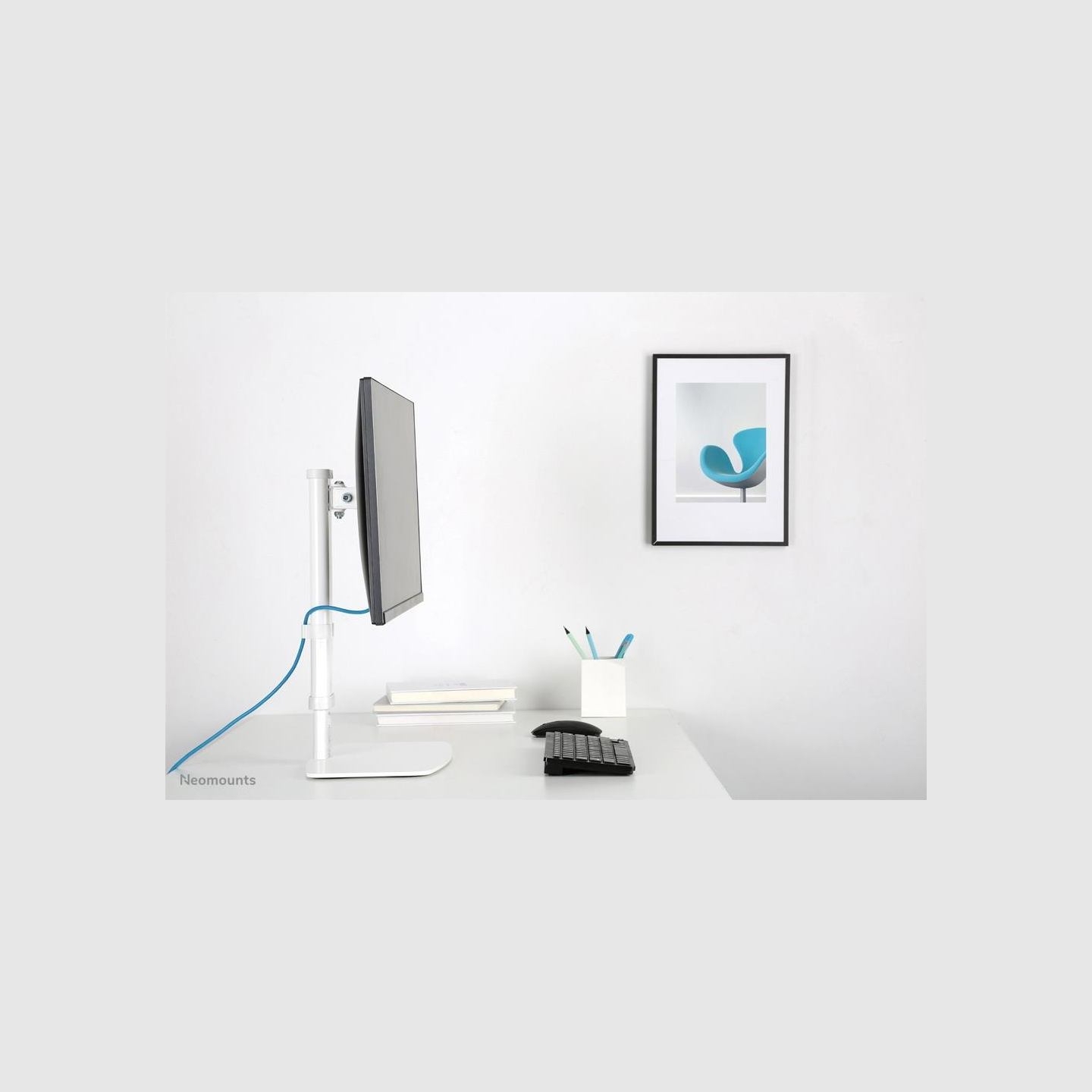 Neomounts NEWSTAR FLAT SCREEN DESK MOUNT (STAND)  10-30" WHITE
