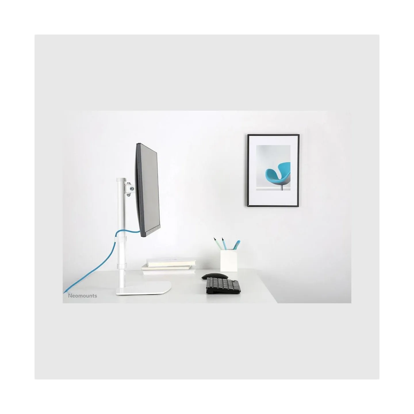 Neomounts NEWSTAR FLAT SCREEN DESK MOUNT (STAND)  10-30" WHITE