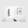 Neomounts NEWSTAR FLAT SCREEN DESK MOUNT (STAND)  10-30" WHITE