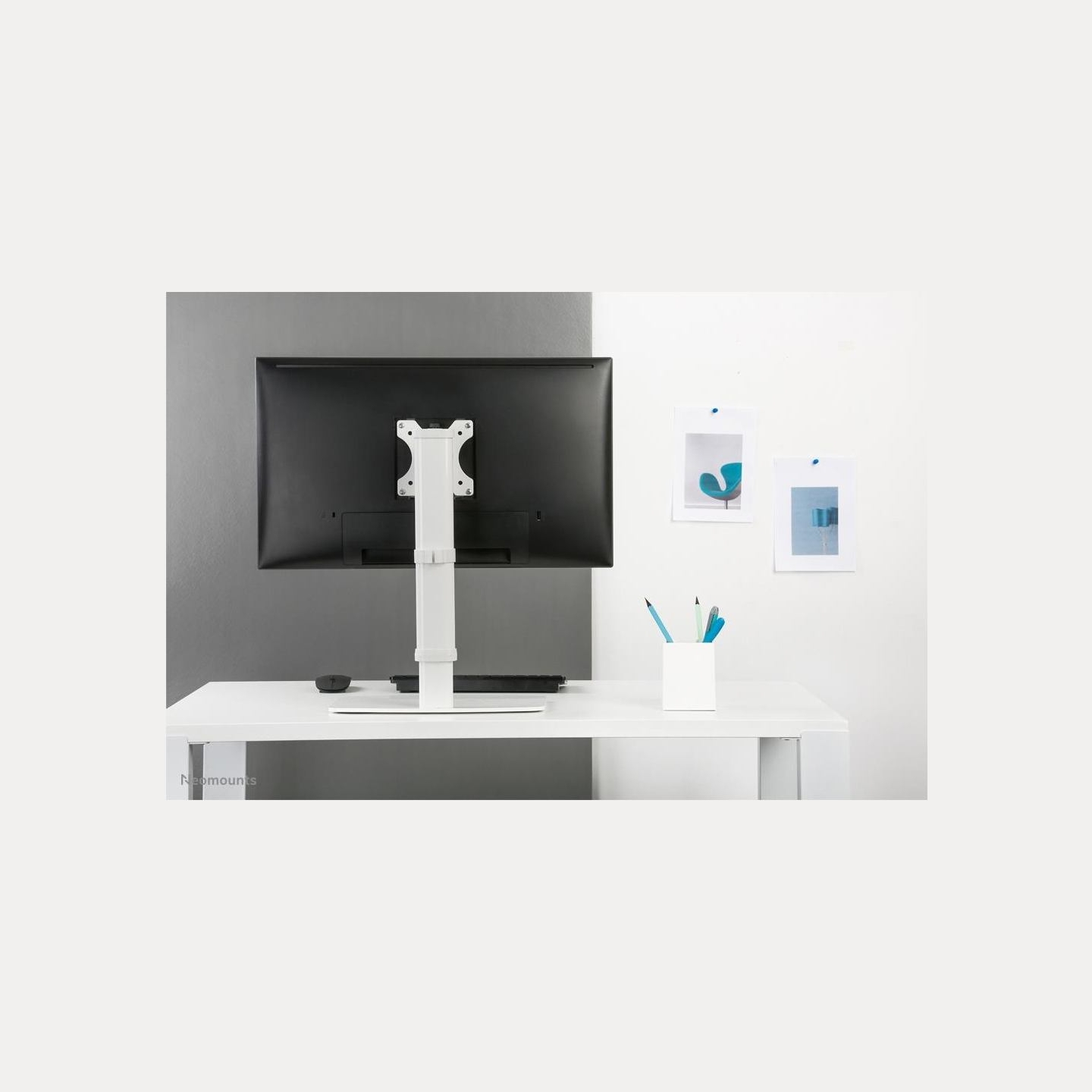 Neomounts NEWSTAR FLAT SCREEN DESK MOUNT (STAND)  10-30" WHITE