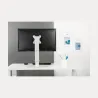 Neomounts MONITOR ACC DESK MOUNT 10-30"/FPMA-D890WHITE NEOMOUNTS