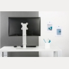 Neomounts NEWSTAR FLAT SCREEN DESK MOUNT (STAND)  10-30" WHITE