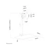 Neomounts NEWSTAR FLAT SCREEN DESK MOUNT (STAND)  10-30" WHITE