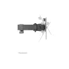 Neomounts BY NEWSTAR FLAT SCREEN DESK MOUNT (STAND)
