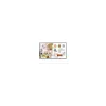 Samsung FLIP 5 PRO WM75FX 75inch
