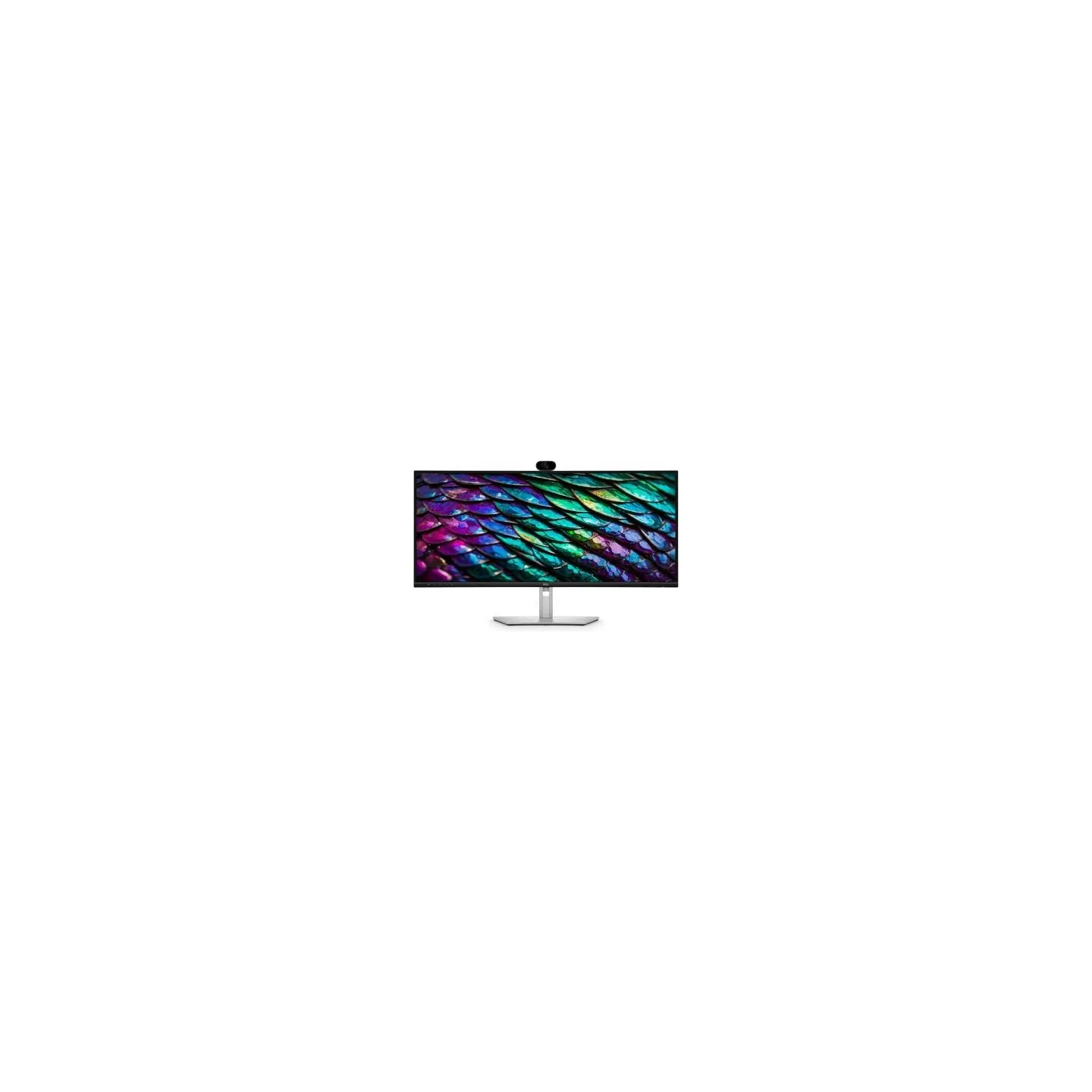 Dell PRO P 34 P3426WEB